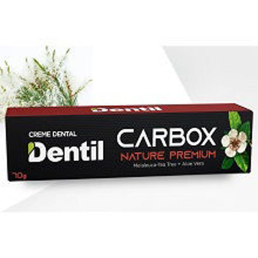 Imagem de CREME DENTAL DENTIL CARBOX NATURE PREMIUM C
