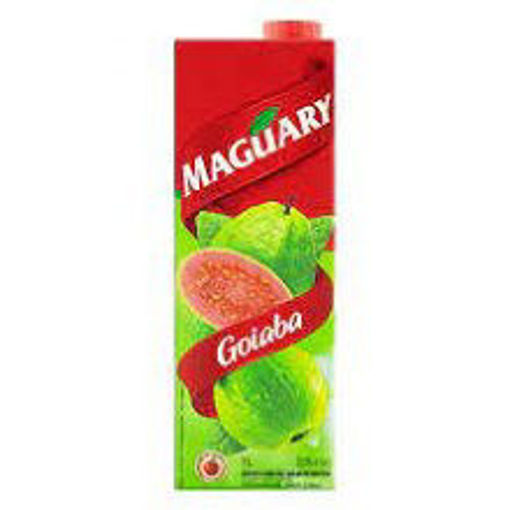 Imagem de MAGUARY PPB GOIABA 1L